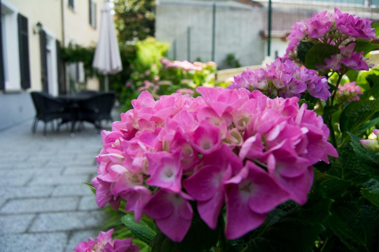Giardino Delle Ortensie Cannobio Eksteriør bilde